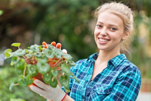 Customized garden clearance solutions in Twickenham