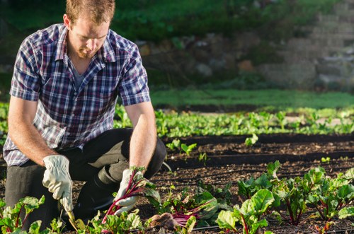Eco-friendly garden clearance practices